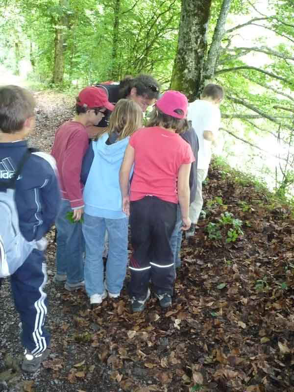 Sortie scolaire géologie sortie-scolaire-geologie-geopark-bauges