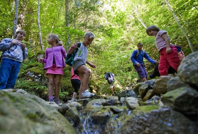 découverte du ruisseau