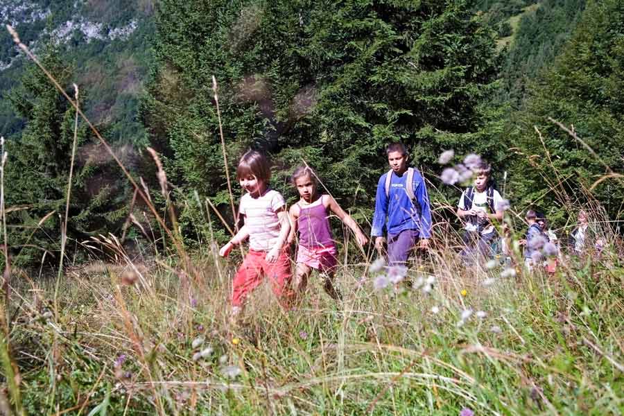 sortie-scolaire-milieu naturel - randonnée - prairies-foret-bauges