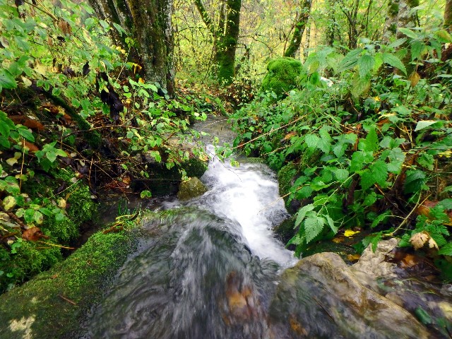 découverte du ruisseau